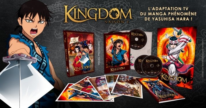 Prcommandes : Les coffrets DVD et Blu-ray de Kingdom en avant-premire sur Anime Store