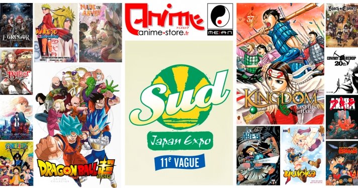 Retrouvez Anime Store  la Japan Expo Sud pour 3 jours exceptionnels !