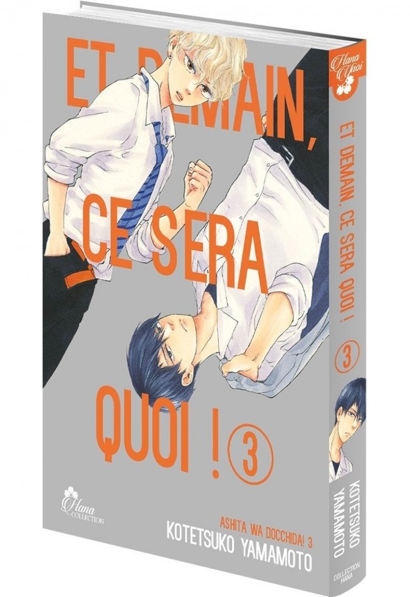 IMAGE 3 : Et demain ce sera quoi ! - Tome 03 - Livre (Manga) - Yaoi - Hana Collection