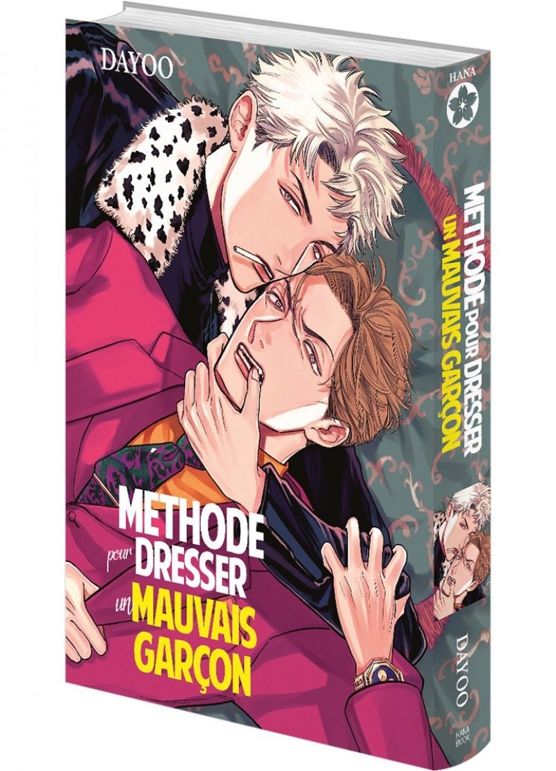 IMAGE 3 : Methode pour dresser un mauvais garcon - Livre (Manga) - Yaoi - Hana Book