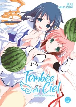 image : Tombe du Ciel - Tome 12 - Livre (Manga)