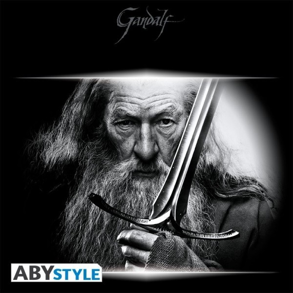 Visuel 2 : Tee Shirt - Gandalf et pe - The Hobbit - Homme - Noir - ABYstyle