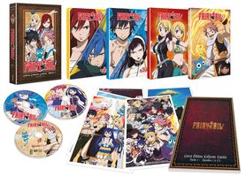Fairy Tail - Partie 1 (Saisons 1  4) - Edition Collector Limite - Coffret A4 DVD - 175 Eps.