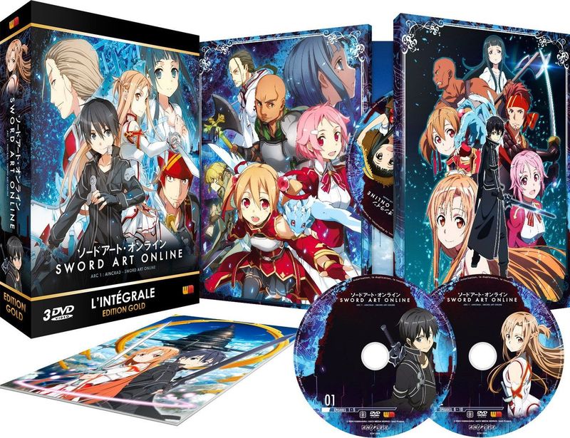 Sword Art Online - Arc 1 (SAO) - Coffret DVD + Livret - Edition Gold