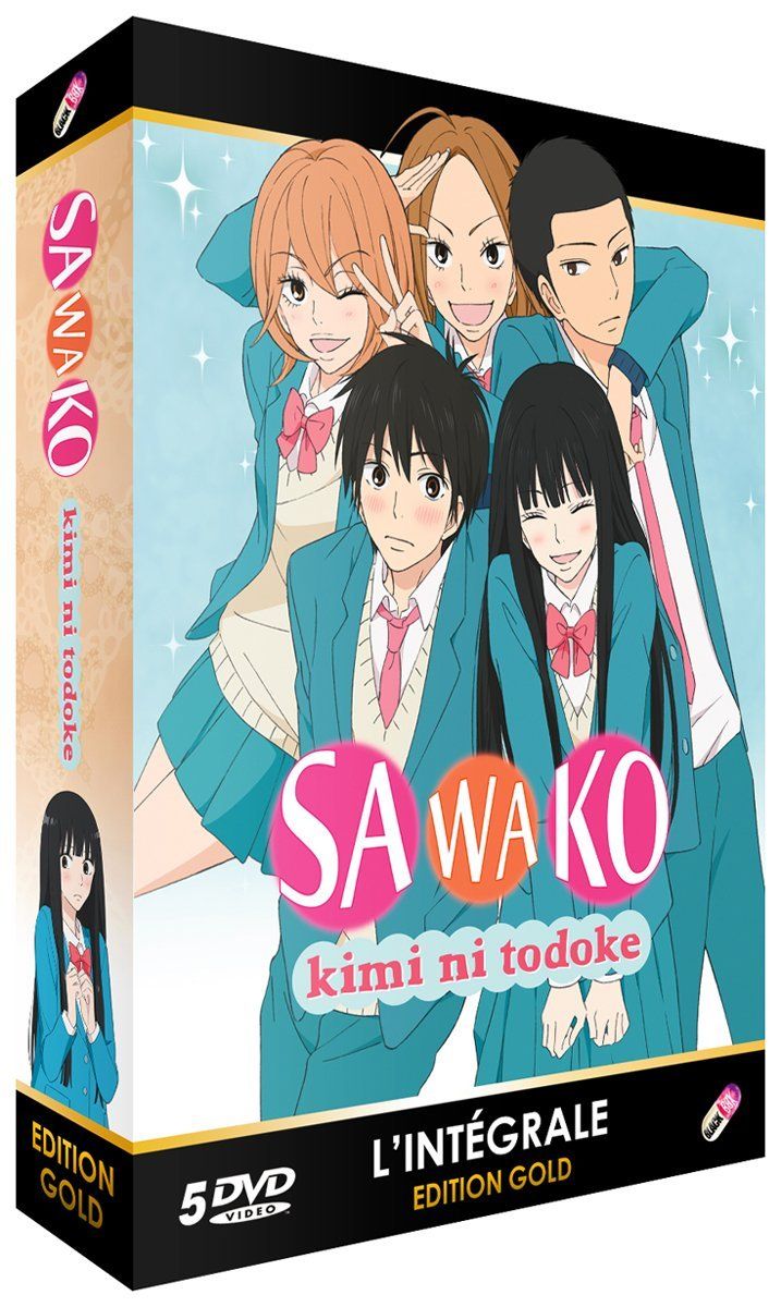 Kimi ni Todoke (Sawako) - Saison 1 - Coffret DVD - Edition Gold