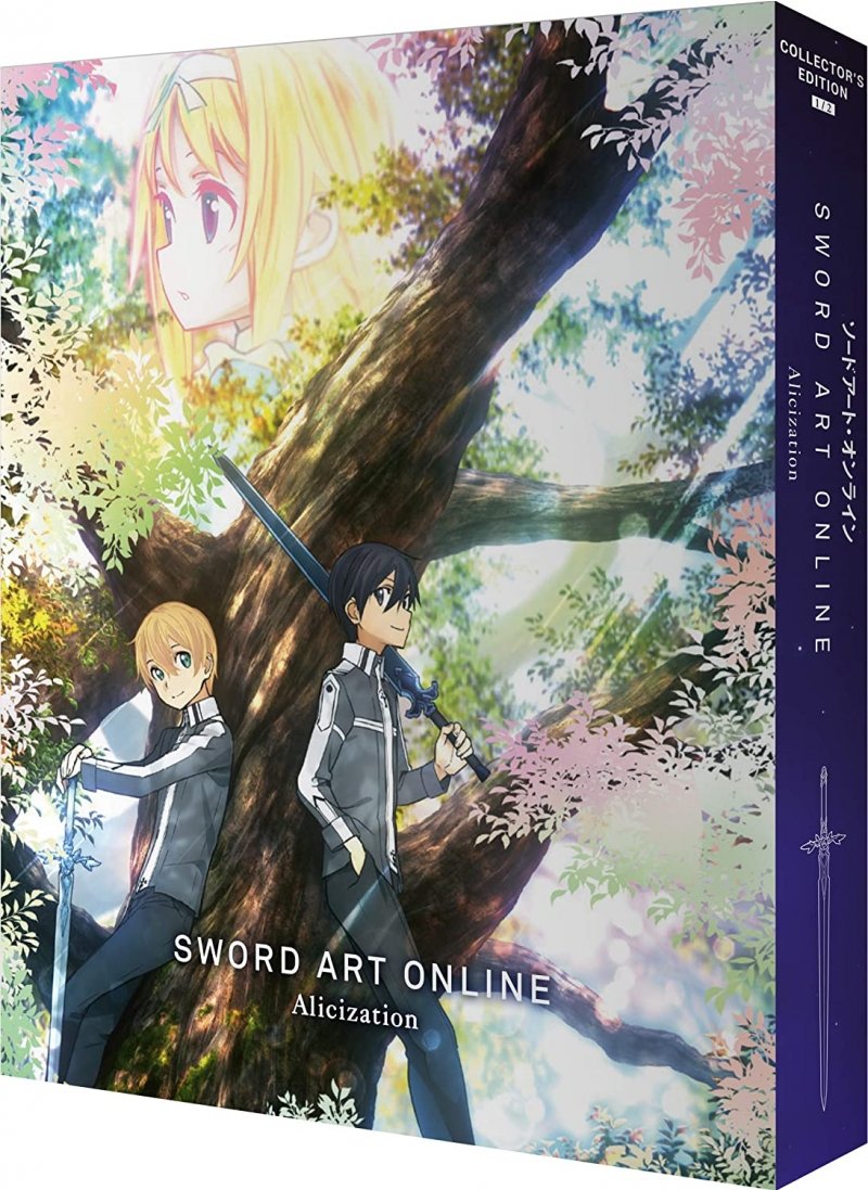 IMAGE 2 : Sword Art Online : Alicization - Edition Collector - Partie 1 - Coffret DVD