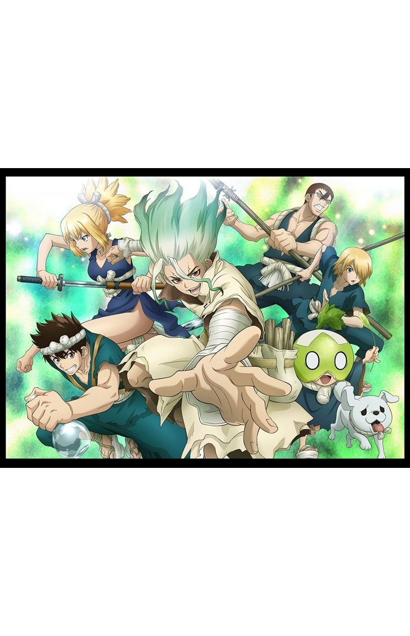 IMAGE 4 : Dr. Stone - Saison 1 - Coffret DVD