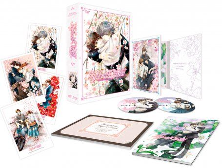 Hybrid Child - Intgrale - Edition Collector Limite - Coffret format A4 Combo DVD + Blu-ray